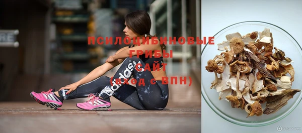 бошки Володарск