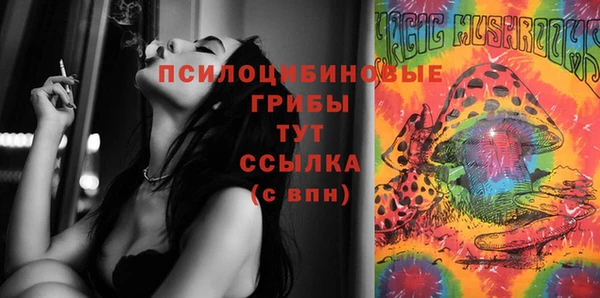 бошки Володарск