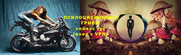 бошки Володарск